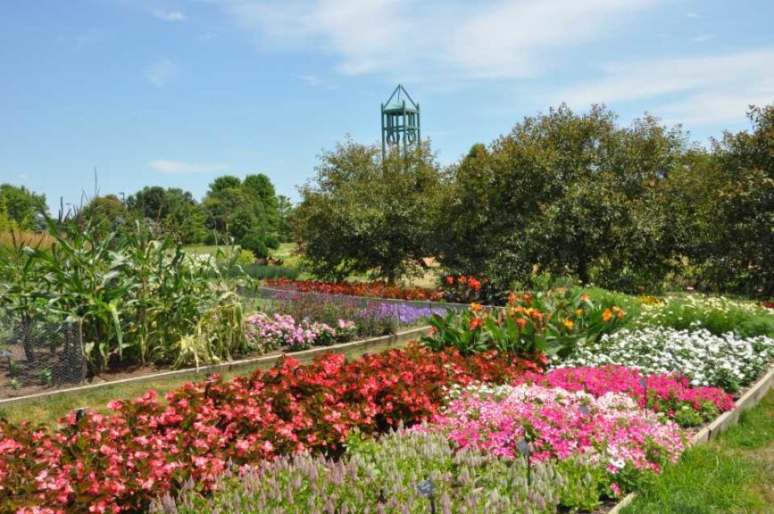 2017 Reiman Gardens, Iowa State University Field Trials