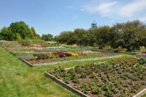 2017 Reiman Gardens, Iowa State University Field Trials