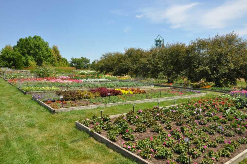 2017 Reiman Gardens, Iowa State University Field Trials