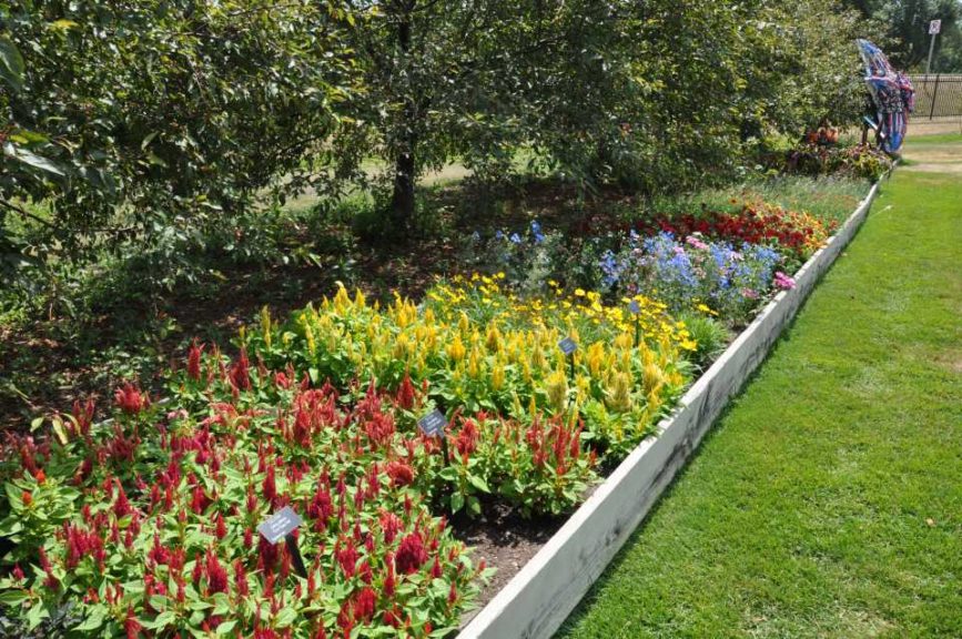 2017 Reiman Gardens, Iowa State University Field Trials