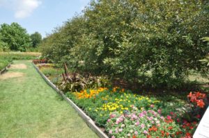 2017 Reiman Gardens, Iowa State University Field Trials