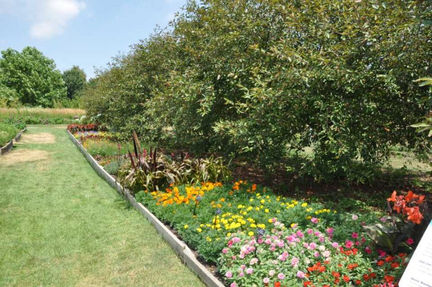 2017 Reiman Gardens, Iowa State University Field Trials