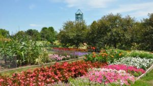 2017 Iowa State University/Reiman Gardens Field Trials Results