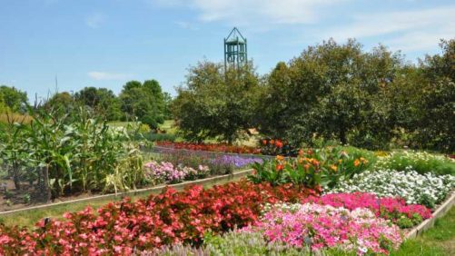 2017 Iowa State University/Reiman Gardens Field Trials Results