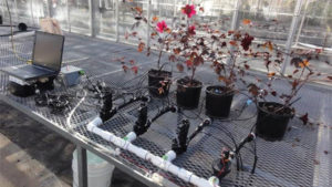 Nine Things You Need to Know About Irrigation Sensors