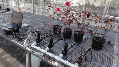 Nine Things You Need to Know About Irrigation Sensors