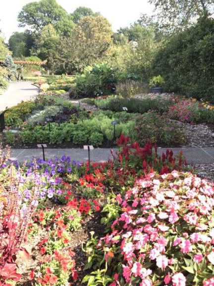 2017 Missouri Botanical Garden Field Trials