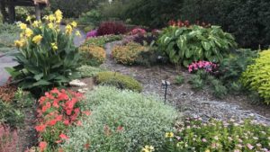 2017 Missouri Botanical Garden Field Trial Results