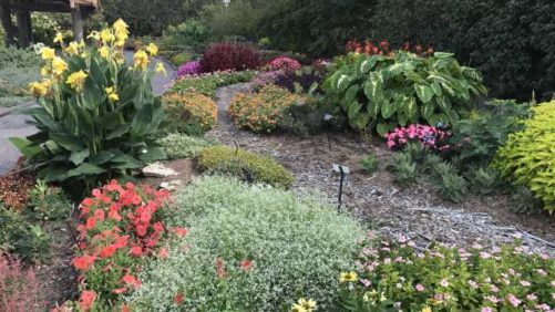 2017 Missouri Botanical Garden Field Trial Results
