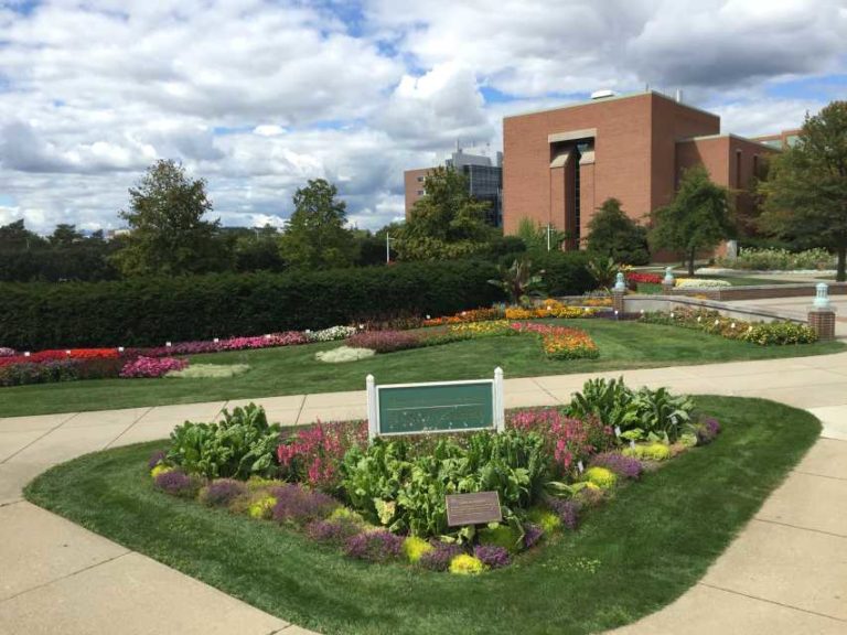 2017 Michigan State University Trials
