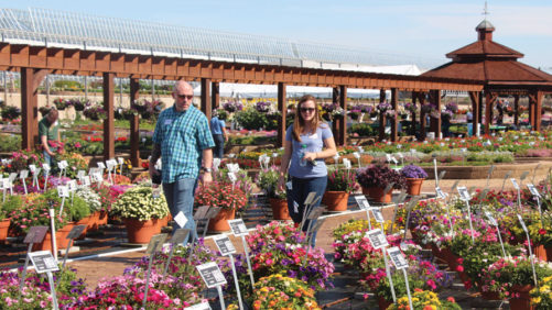 Metrolina Shows Off Its Summer Best During Southern Garden Tour