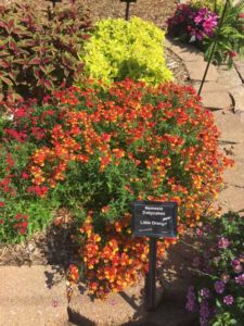 2017 Mast Young Plants Field Trials