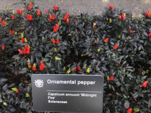 2017 Missouri Botanical Garden Field Trials