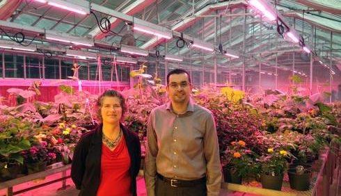 Michigan State Partners With Philips Lighting to Modernize On-Campus Greenhouses