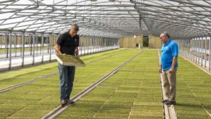 Speedling Wins Environmental Leadership Award From Florida Ag Commissioner