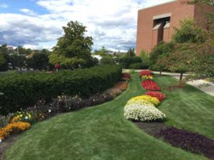 2017 Michigan State University Trials