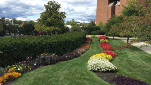 What You Can Learn at the Michigan Greenhouse Growers Expo
