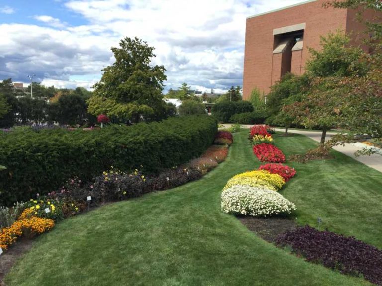 2017 Michigan State University Trials