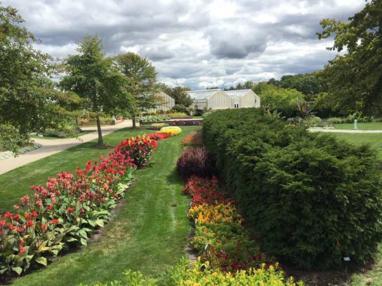 2017 Michigan State University Trials