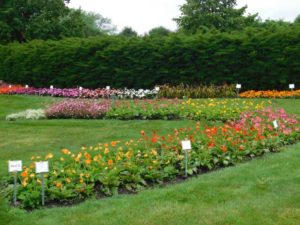 2017 Michigan State University Trials