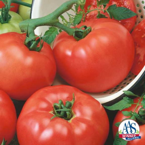 Tomato ‘Chef’s Choice Red’ (Seeds by Design)
