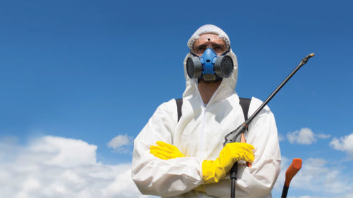 Maryland Court Case Upholds Ban on Outdoor Pesticide Use