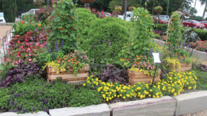 How Young’s Plant Farm Uses Its Trial Gardens to Engage Consumers