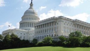 Perspective: What a New Presidency Could Mean for the Green Industry