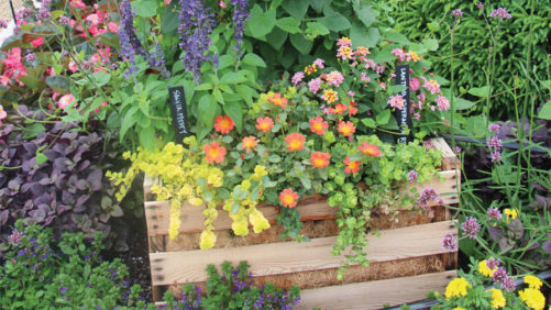 How to Produce Stunning Combination Containers
