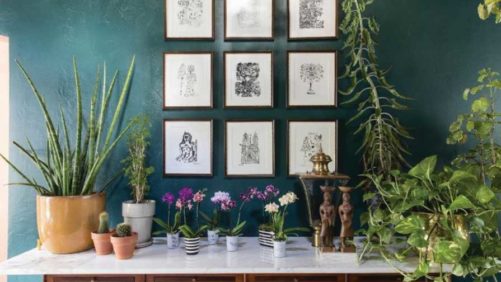 How Data From a New Report Can Help You Sell More Houseplants
