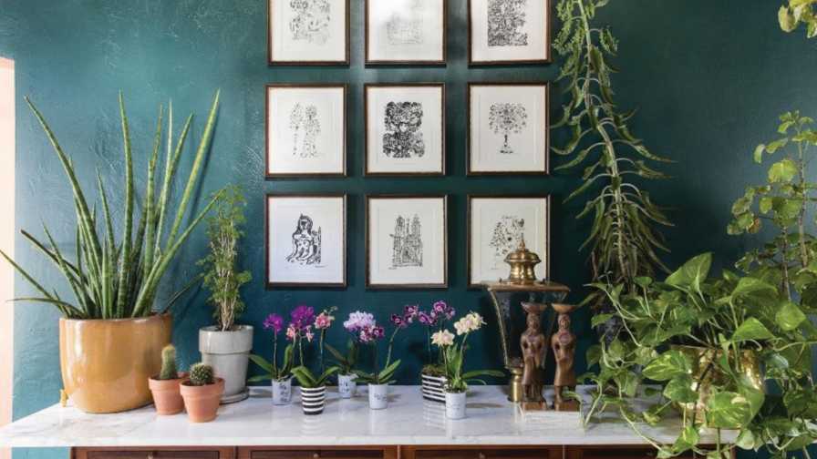 Houseplants-for-Millennials
