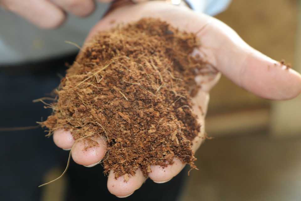 Handful of peat peat ban
