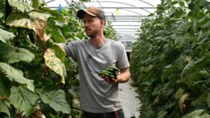 New Report Shows Older Growers Outnumber Younger Growers by a Six To One Margin