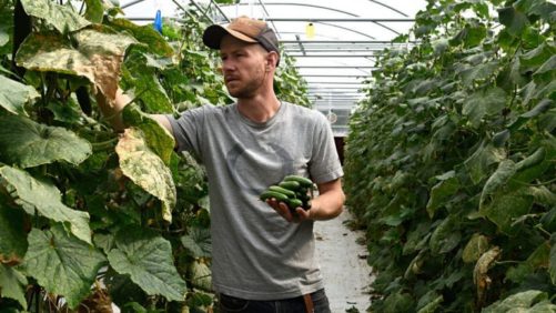 New Report Shows Older Growers Outnumber Younger Growers by a Six To One Margin