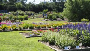 2017 North Carolina State University Field Trial Results