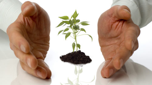 Engage Agro Now Doing Business as Belchim Crop Protection