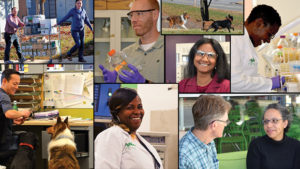 Four Ways to Attract Employees With a New Approach to Company Culture