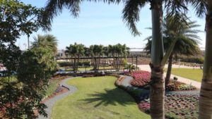 2018 Costa Open House: Standout Plants and Products