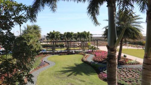 2018 Costa Open House: Standout Plants and Products