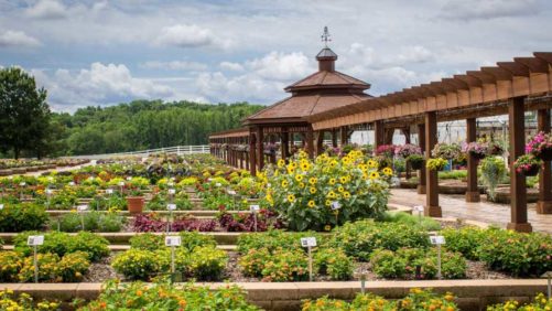 2018 Southern Garden Tour Includes Visits to Young’s Plant Farm, the University of Georgia, and Metrolina Greenhouses