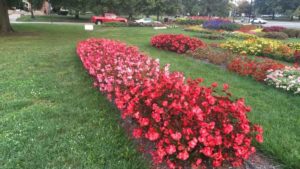 2017 The Ohio State University Field Trial Results