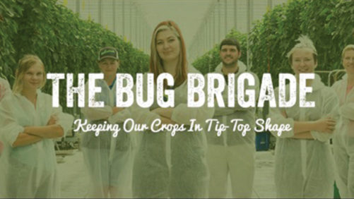 Don’t Miss Opportunities to Market Your Biocontrol Program