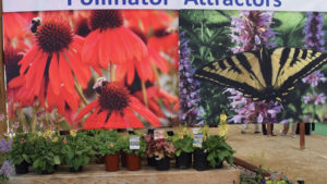 New Guide Helps You Choose Best Plants for Attracting Pollinators