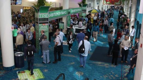 Color, Décor, and Wellness Were On Display at TPIE