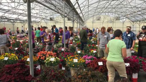2017 Welby Gardens Field Trials Results