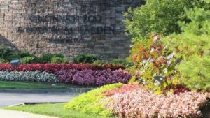 2017 Cincinnati Zoo & Botanical Garden Field Trials Results
