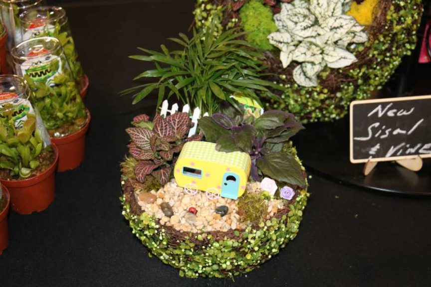 Fairy Gardening