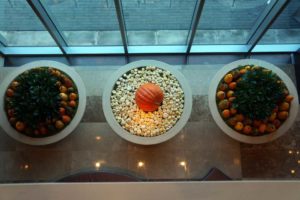 Fall at the Omni (Urban Jungle)