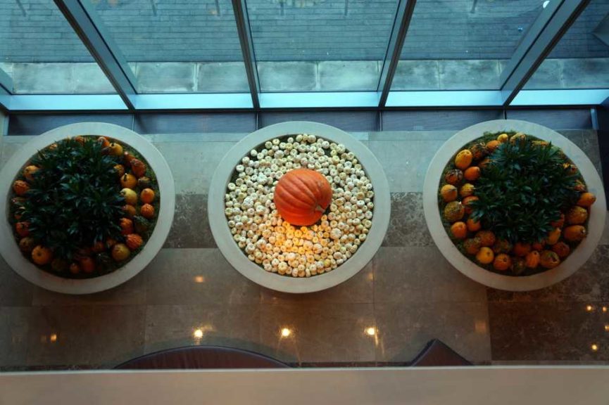 Fall at the Omni (Urban Jungle)