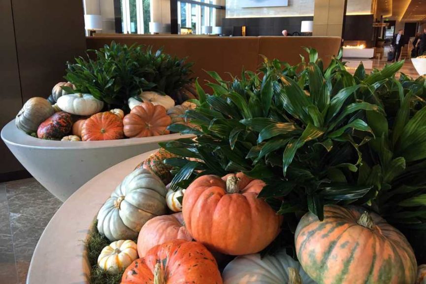 Fall at the Omni (Urban Jungle)